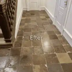 Polering af 400 år gammelt stengulv efter